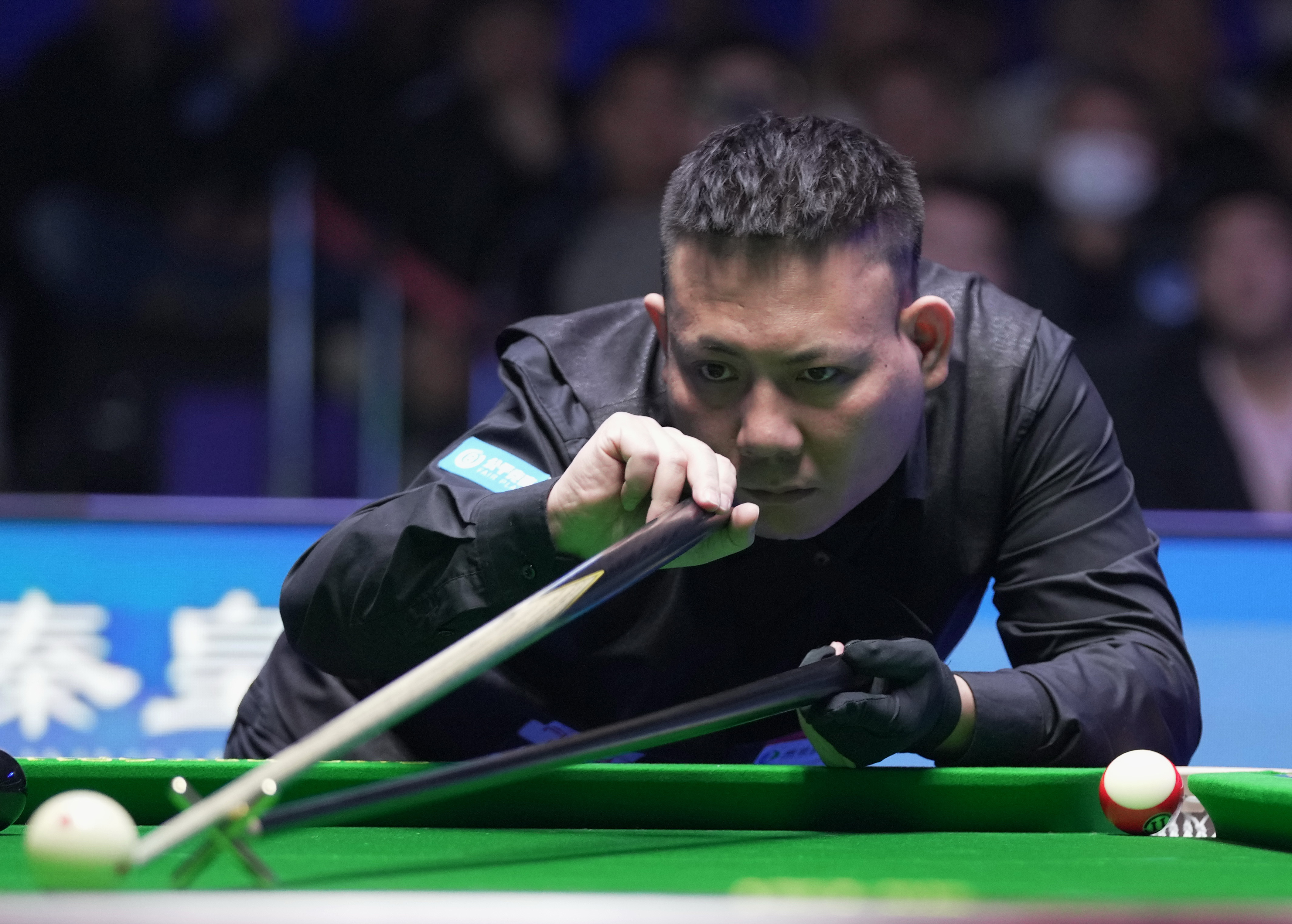 青岛男篮战 青岛男篮战